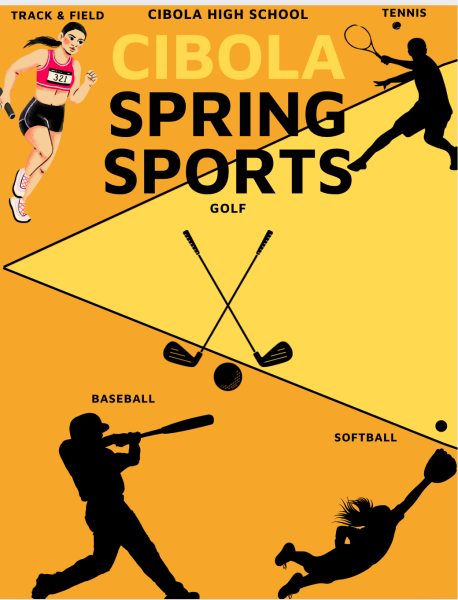 Intro To Spring Sports and All You Need To Know