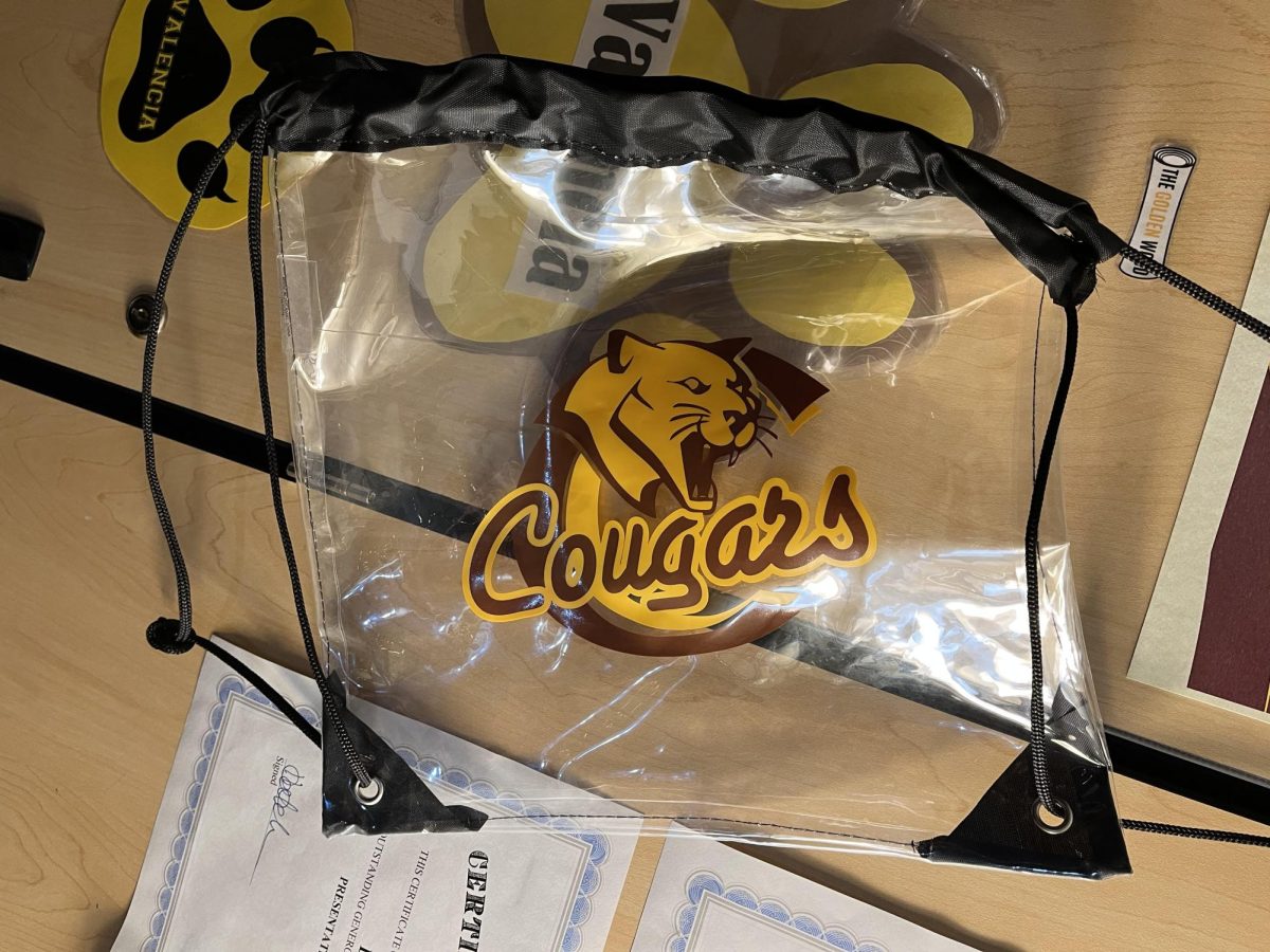 Clear Bag Policy For APS Schools Up For Debate